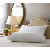 Set of 2 -King size Bed Pillow with Plush Polyester Fill and 2 Pillowcases