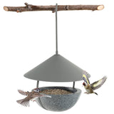 Small Hanging Bird Feeder with Metal Cone Rain Protector Top