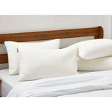 Set of 2 Queen Shredded Memory Foam Pillows with Luxury Bamboo Breathable Cover