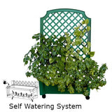 Indoor/Outdoor Green Polypropylene Wheeled Trellis Planter